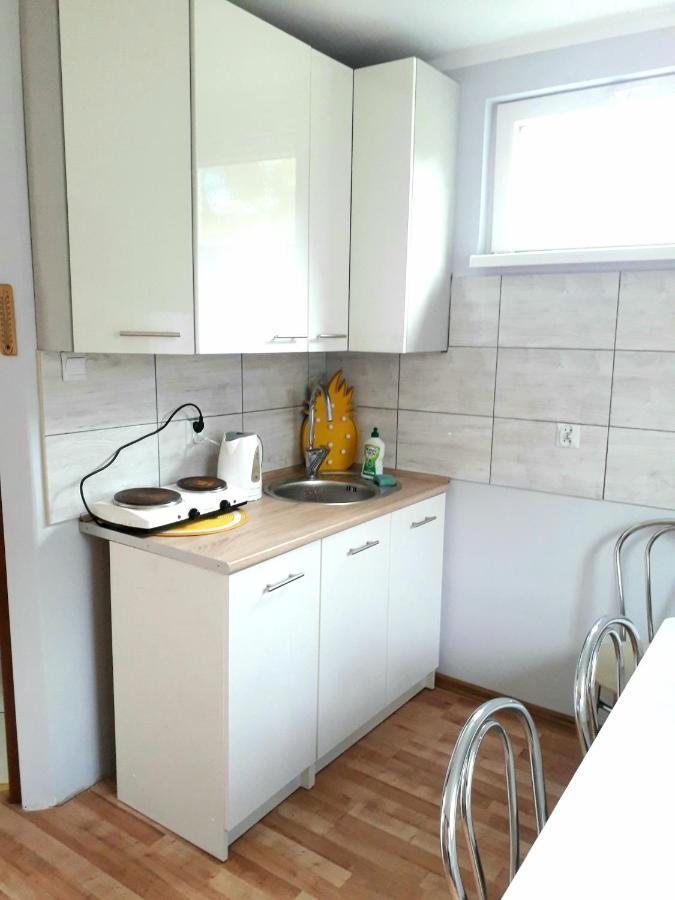 Kaszubska Dolina Pięciu Stawów Vila Wiele Exterior foto