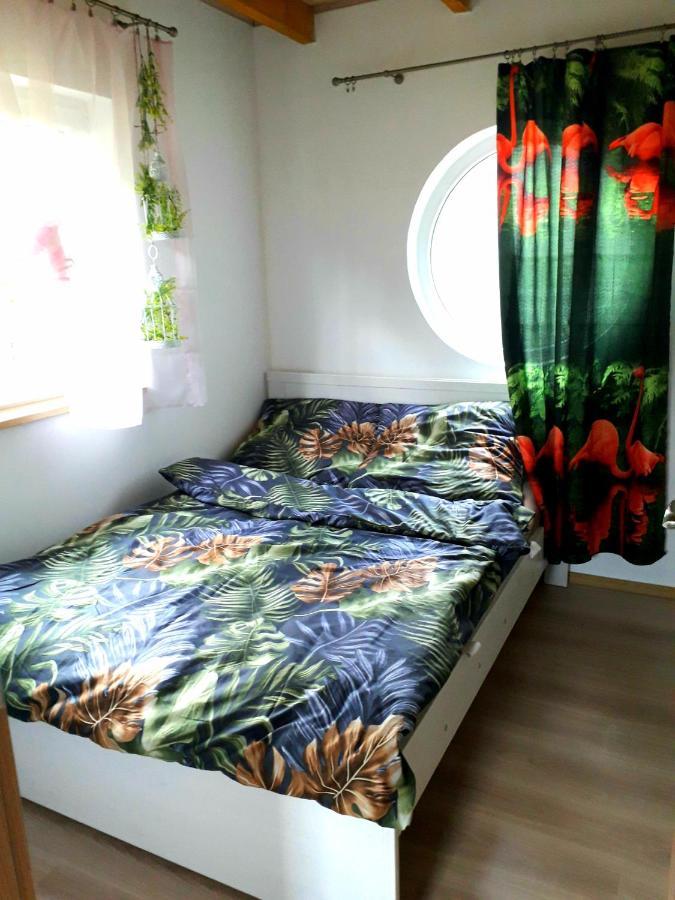 Kaszubska Dolina Pięciu Stawów Vila Wiele Exterior foto